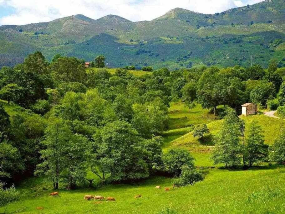 La Casona De Obdulia Tresgrandas